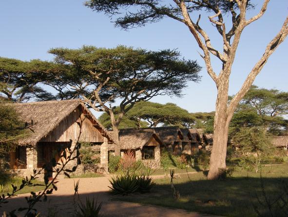 Ndutu Safari Lodge - Lodge 